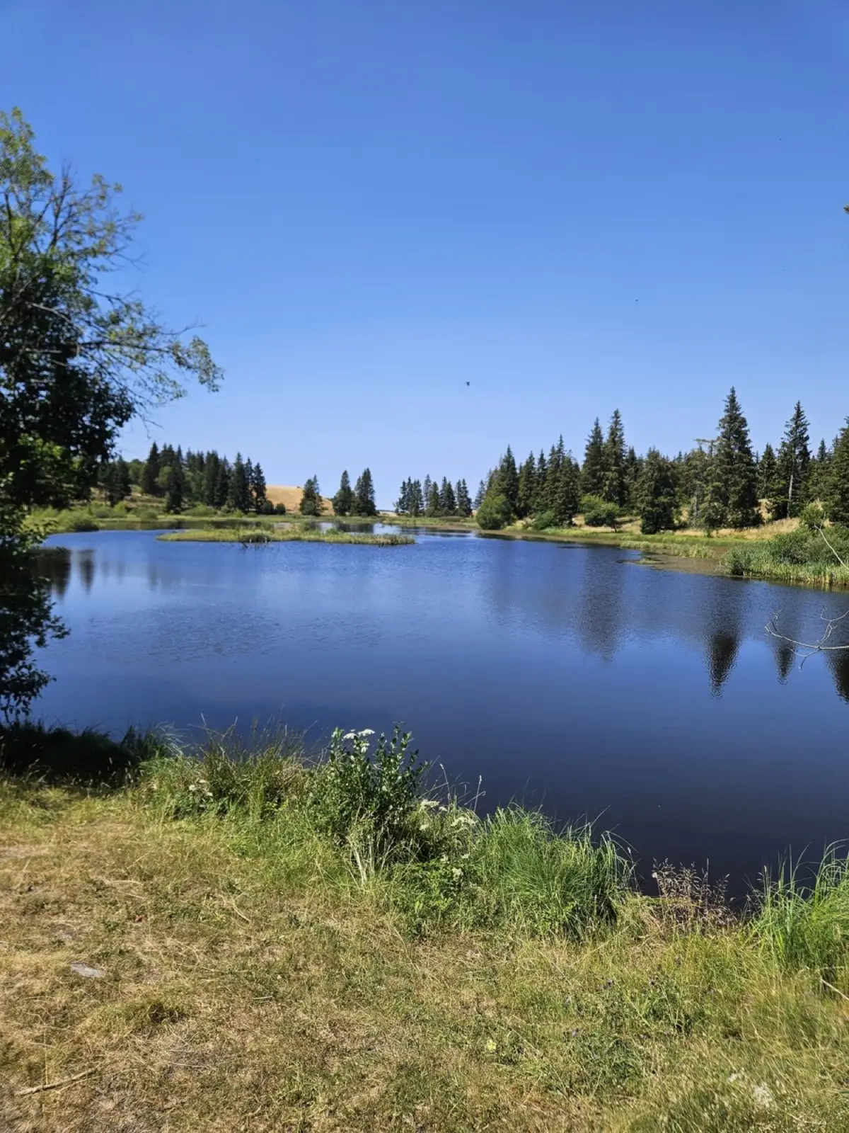 Lac de Frau de Collange entouré de forêts de pins, Cantal